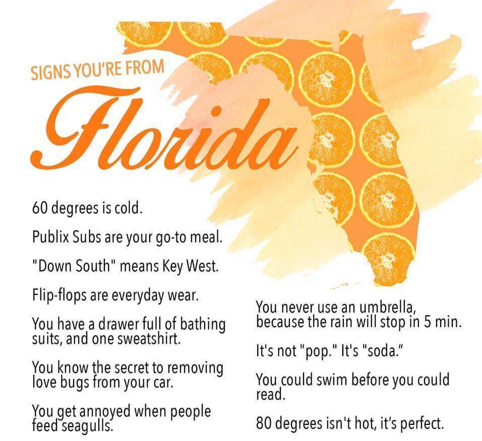 Lori H (@lhiggo9105) on Twitter photo 