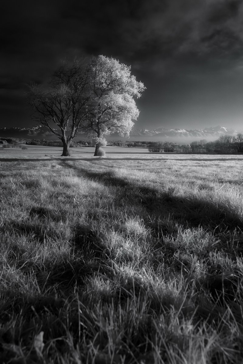 J0N45__'s tweet image. I usually say "Welcome to my Otherworld" or "gm from my Otherworld"...

... but where is that??

Thanks to @foundation, there is now a new World called 'My Otherworld', that's where all my 1/1s available are 🔥

#LinkInThread