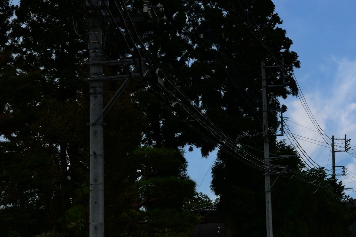 hotate18130619's tweet photo. 本日、栃木県矢板市付近で撮影。
Twitterの青い鳥、偶然見つけた！！
#写真好きな人と繋がりたい #青い鳥 https://t.co/DJqSqinEqN
