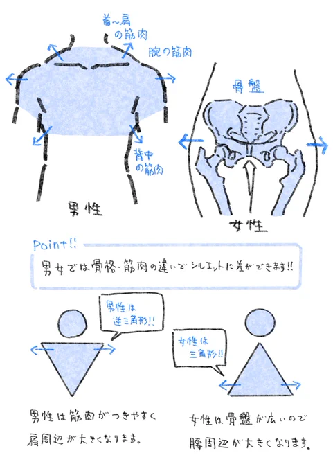今週のFANBOX更新はコチラ▼▼▼   胴体の描き方メモ✍️