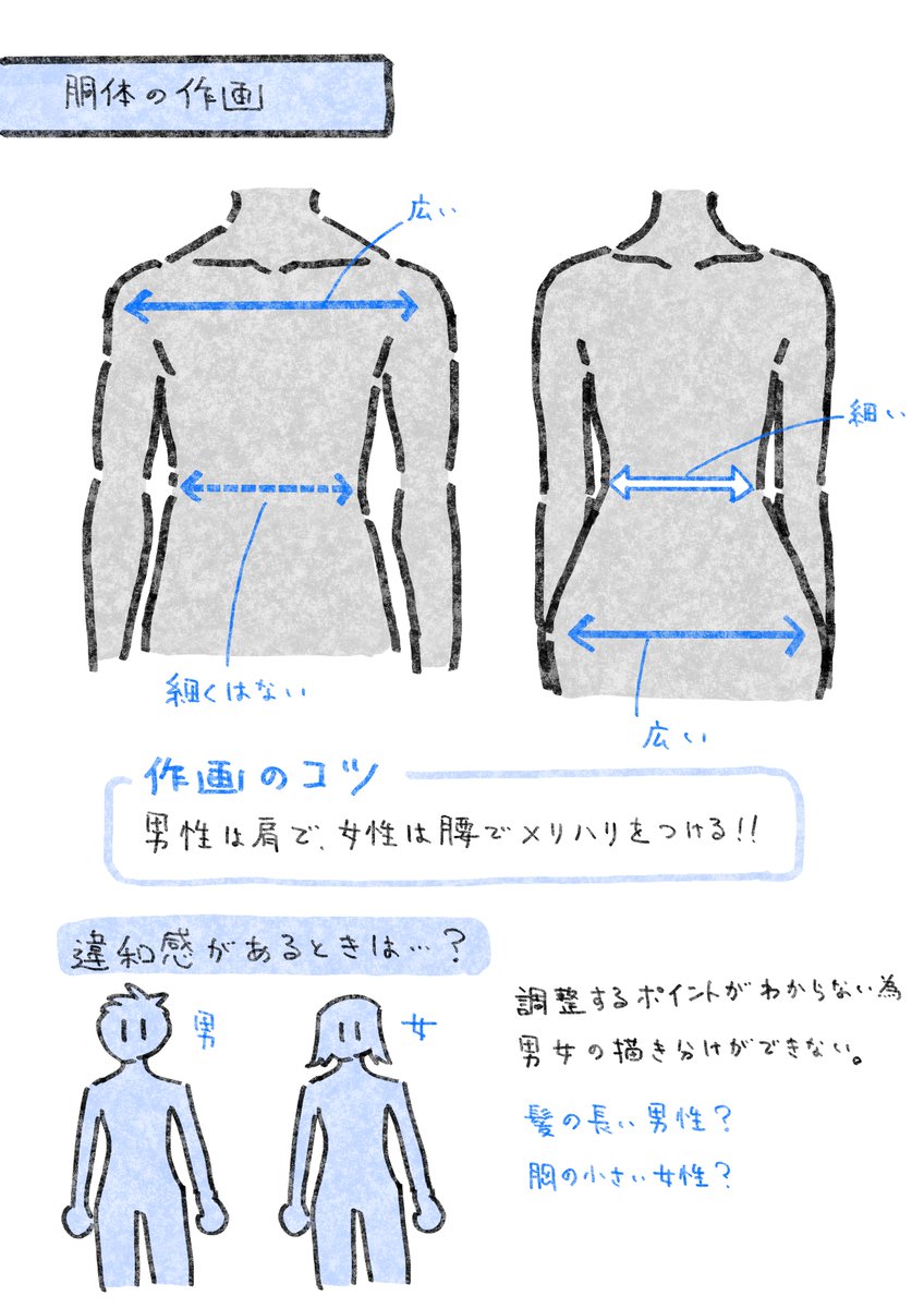 今週のFANBOX更新はコチラ▼▼▼   胴体の描き方メモ✍️