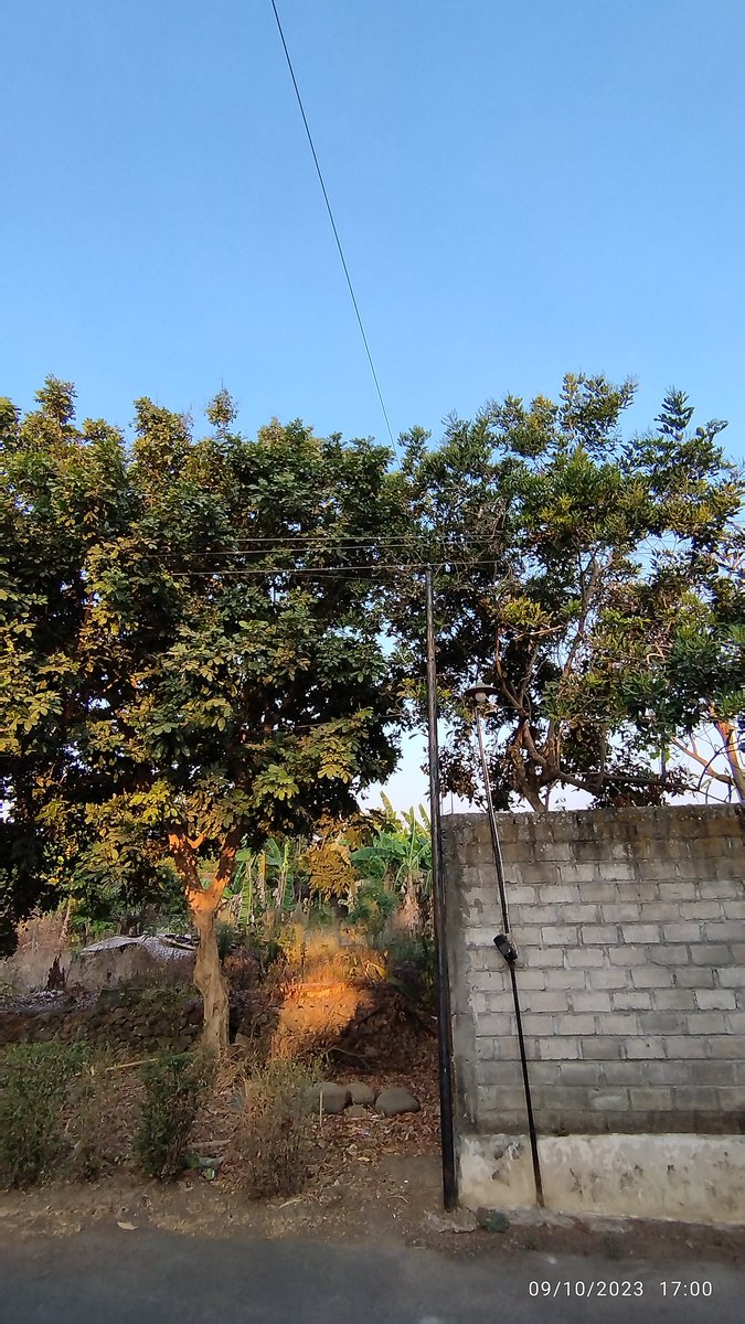 grayminato's tweet photo. @pln_123 kabel PLN ini baru saja mengeluarkan percikan api, mungkin efek angin besar yg meniup dahan pohon dan menyatukan kabel atas dan bawahnya. si empunya pohon sudah berulang kali lapor ke petugas PLN setempat tetapi belum ada tindakan. mohon responnya min. lokasi di klaten https://t.co/XiilgAQpnG