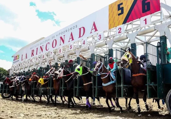 clubhipicoxtves's tweet photo. #Hipismo #LaRinconada #UltimaHora Arranca Ganando en la 1era Carrera hoy #Domingo10 con LA LUPA DEL DINERO y su Mensajeria 8866
Envia ( C1 AL NUMERO 8866 ) Recibiras el Ganador de la 1ERA Carrera
#Linea #5y6 3era Valida EME EME
#VIP 04144637961 #WASAP #clubhipicoxtlt . https://t.co/bnMv0Y1JhS