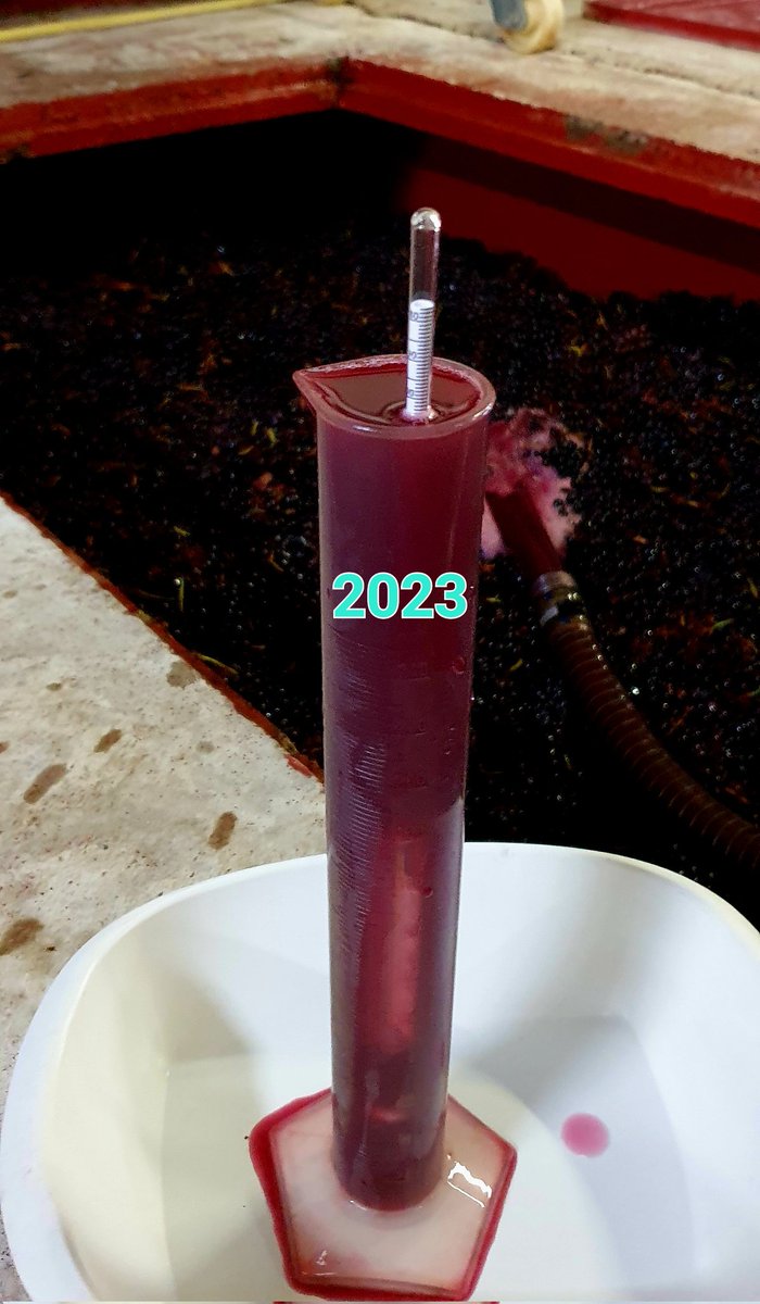 GdeLongevialle's tweet photo. Mes vendanges 2023 ont débuté ce 5 septembre. Depuis, la qualité du millésime se révèle de jour en jour. De superbes raisins offrant de beaux arômes et une couleur prometteuse !
#Beaujolais #terravitis #vin #wine #vendanges #harvest #gamay #millésime #vintage #gleize #gleizé https://t.co/HaQUqqpe5f