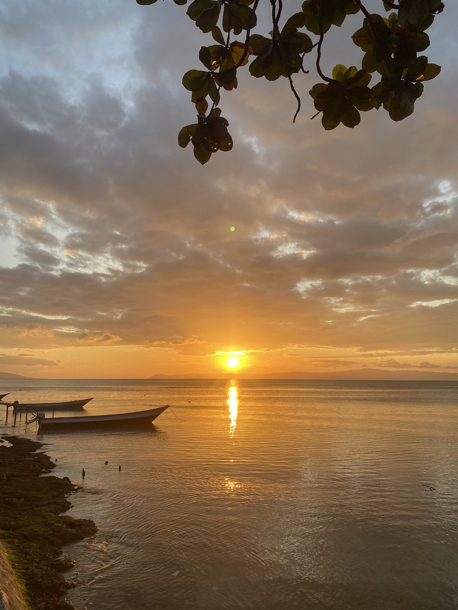 Odiiiu's tweet photo. Ambon indeed a very beautiful place. Took my breath away. I wish I could be back here again
#Ambon #NatureBeauty #celebes #travelphotography https://t.co/zf8JWVN1d5