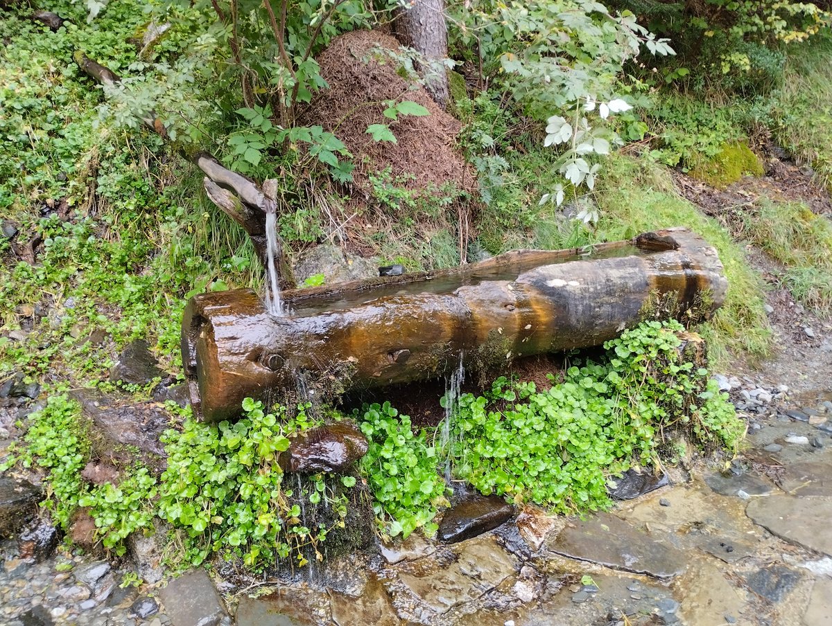 Fuente de Coronas, camino del Ibón de Escarpinosa.
#ValledeBenasque
#ValledeEstós
#Pirineos