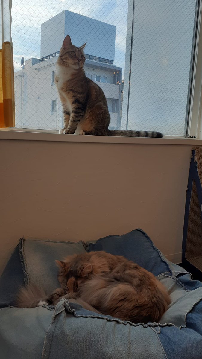 Heute war so ein toller Tag *-*