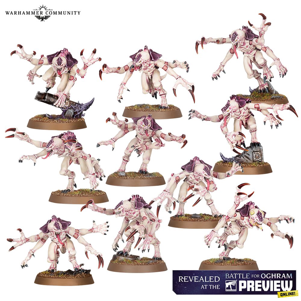 Drew Palies tweet media