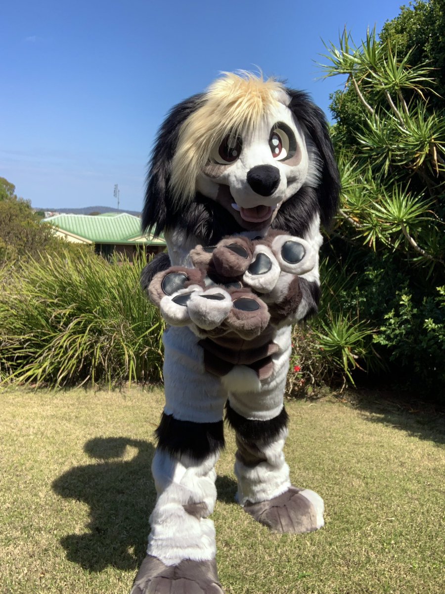 LupeSuits's tweet photo. Full suit for Russell! Look at those long flop ears! 🐶 https://t.co/0864RDodfj