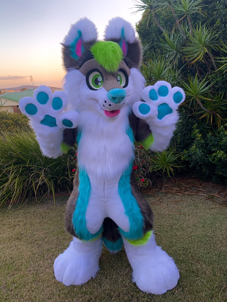 LupeSuits's tweet photo. The exceptionally cute Iceberg! 🐺 
Modelled by our concept artist over at @SNebulaStudios 
💚💙❤️ https://t.co/CuTeJ79aEE