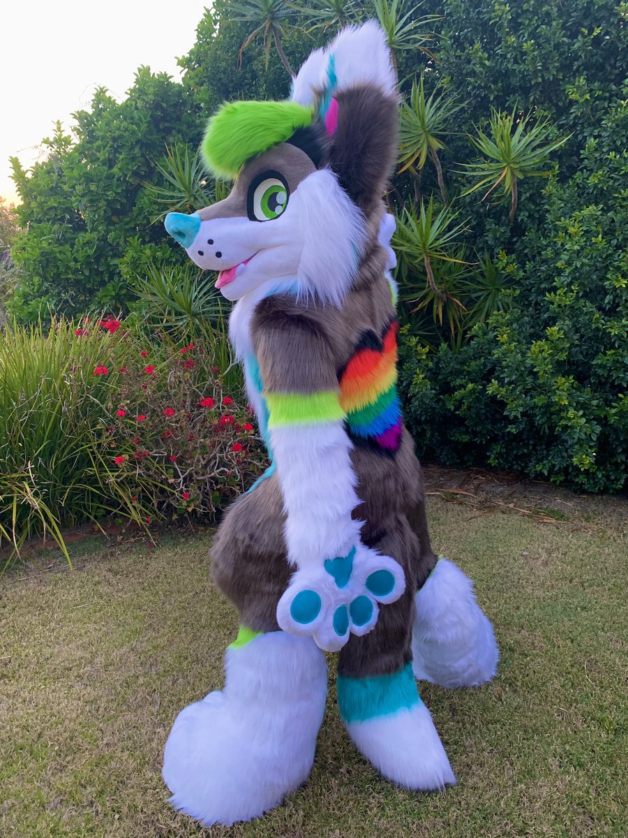 LupeSuits's tweet photo. The exceptionally cute Iceberg! 🐺 
Modelled by our concept artist over at @SNebulaStudios 
💚💙❤️ https://t.co/CuTeJ79aEE