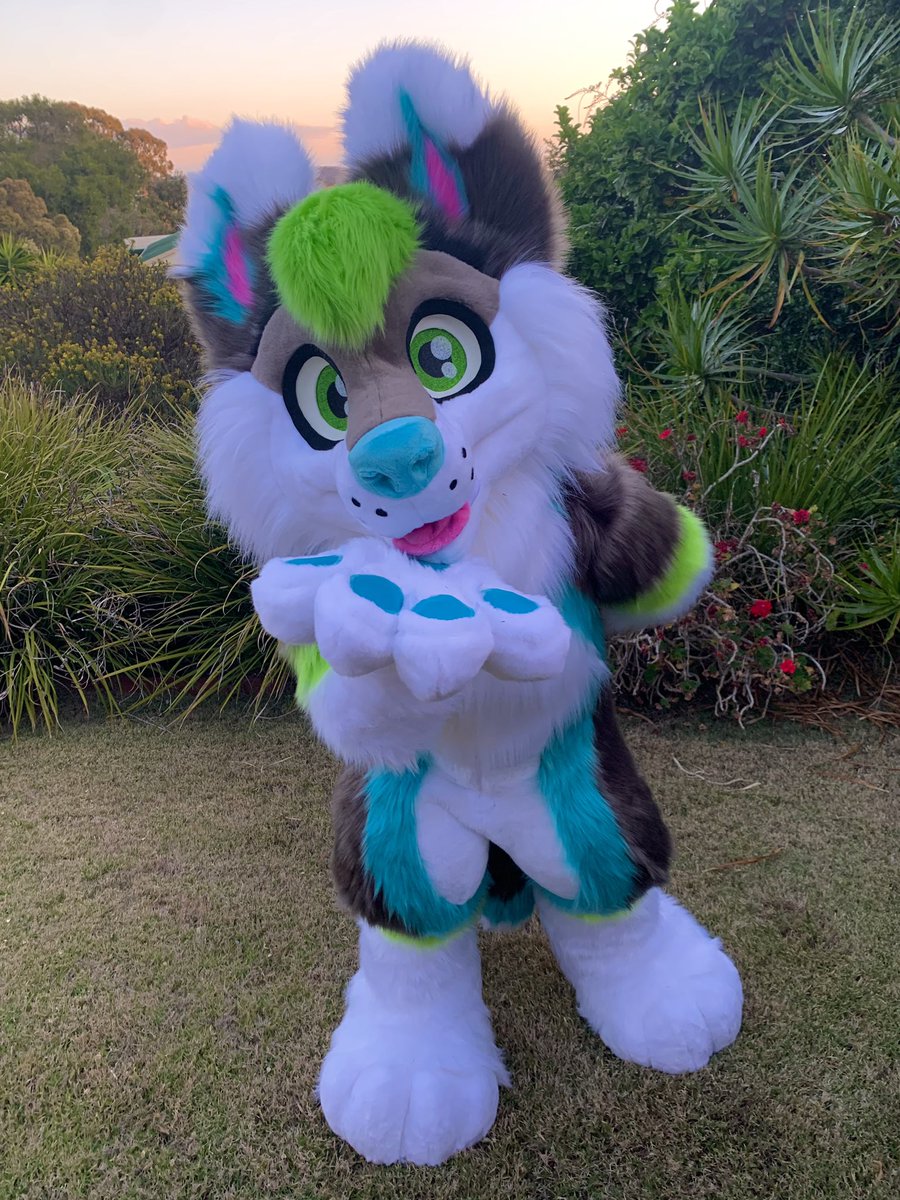 LupeSuits's tweet photo. The exceptionally cute Iceberg! 🐺 
Modelled by our concept artist over at @SNebulaStudios 
💚💙❤️ https://t.co/CuTeJ79aEE