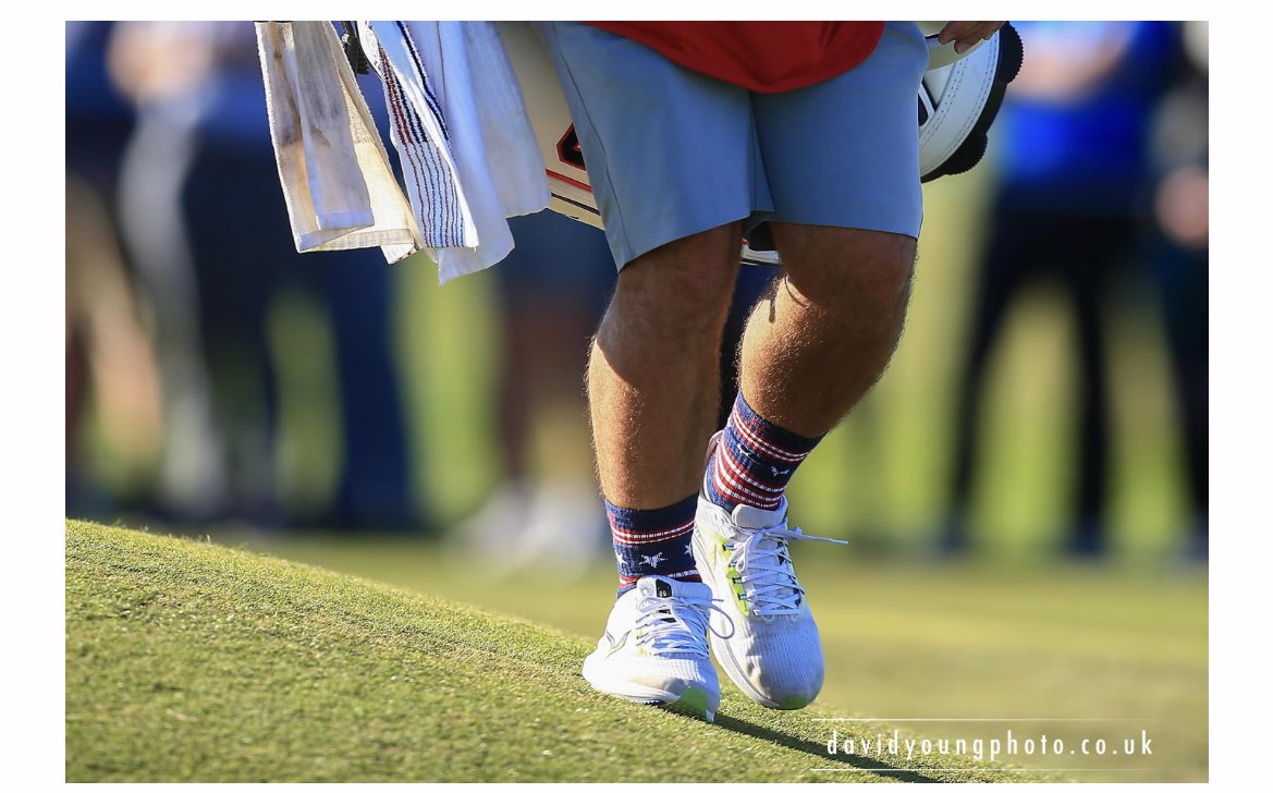 Alan Tulleth tweet media