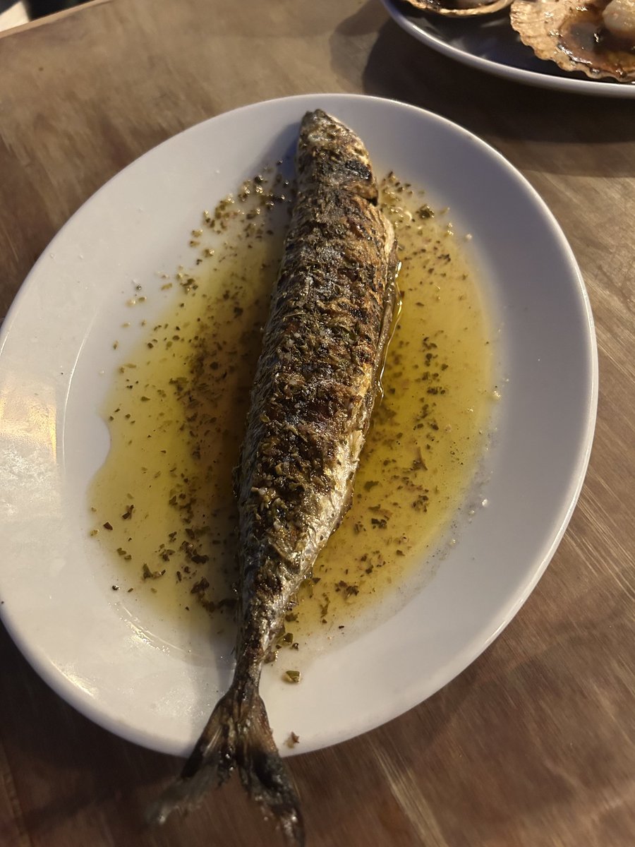 MarkLewis32's tweet photo. Another superb dinner at #Argoe in #Newlyn. https://t.co/S8EXbWThU4