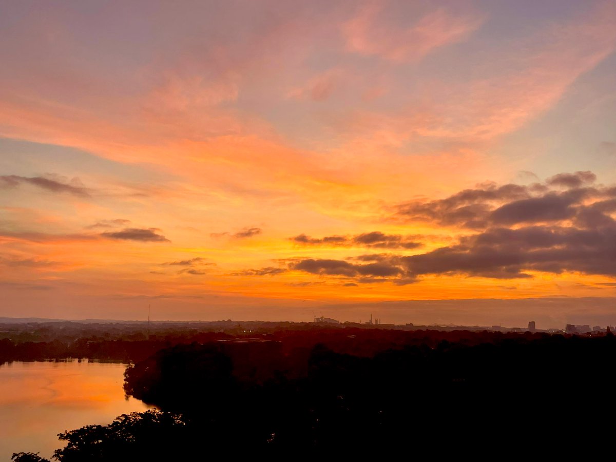 peter payack tweet media