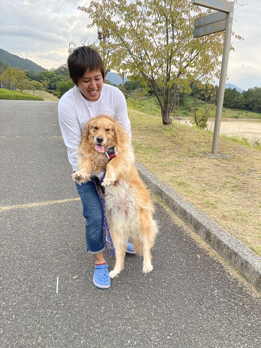 fj_nbl's tweet photo. 今日は3匹まとめて散歩🐕
歩かんなるやつおるし！笑 https://t.co/aaB5YIw9gC