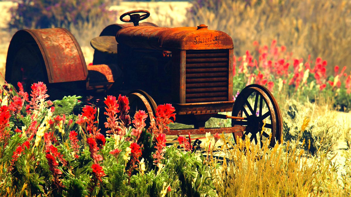 M_Joe_Hort's tweet image. September Mood 🌾

#GtaOnline #SantaMuerteGang @RockstarGames