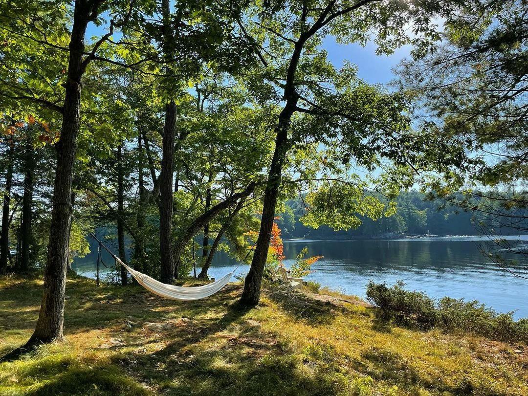 kawarthaNOW's tweet photo. Good Sunday morning our #kawarthapeeps from Cindy Bartoli @cbart03 at Gold Lake.
Follow the photographer on Instagram at https://t.co/VdMj0BPYnu

#goldlake #trentlakes #ptbokawartha #ptbocounty #kawarthas #thekawarthas #cottager #cottagecountry #septemberinthekawarthas https://t.co/Ju3lNtTkkx