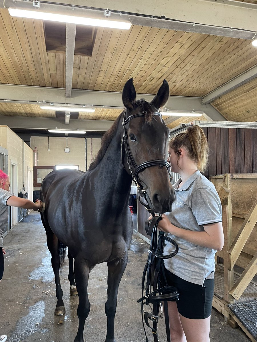 Fantastic day <a href="/Jodavis9/">Jo Davis</a> yesterday for #NationalRacehorseWeek Horses all looked amazing. Definitely worth the 4am wake up!!