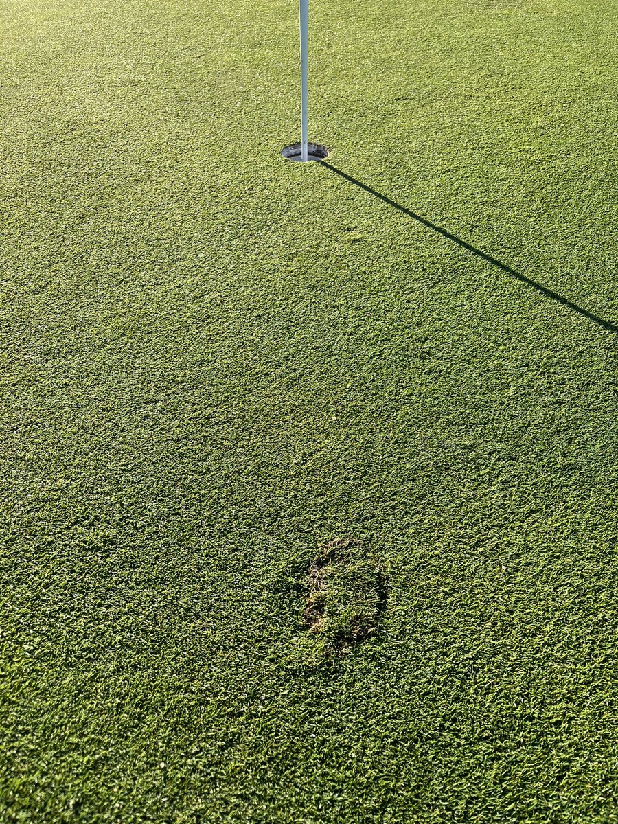 Green Gables Turf Department tweet media