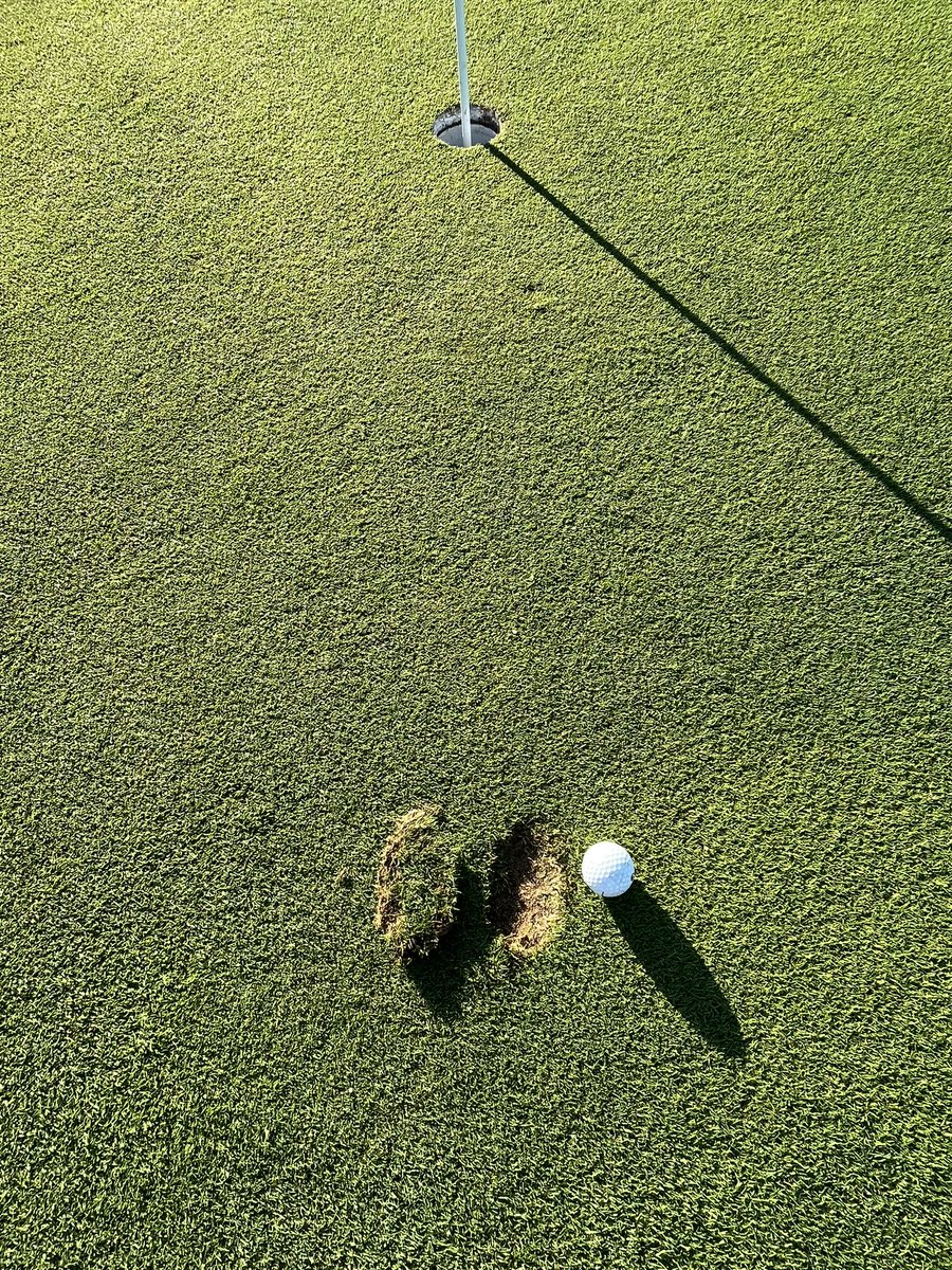 Green Gables Turf Department tweet media