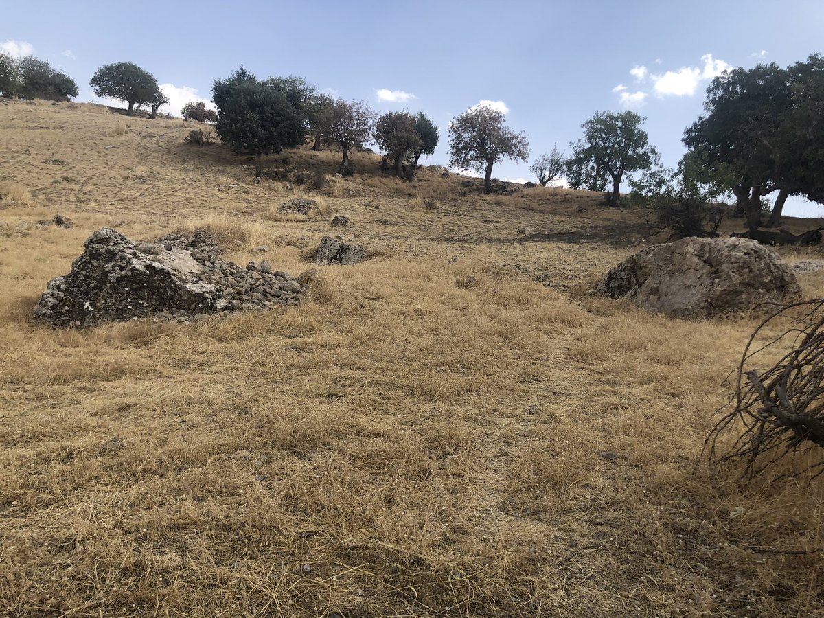 mufidyuksel's tweet photo. Cudi Dağı eteklerindeki Şırnak’ın kadim Semman/Heştan köyünde Tâbiin-i Kirâmdan Halil El-Kürdi’nin mezar/türbe alanını Allah (C.C) ‘a Sonsuz Hamd Olsun, Şeyh Mahmud Hulvi’nin “Lemezât” kitabında tarif ettiği üzere bulduk. İnşaallah burada bir Türbe ve Külliye/Cami inşâ ederiz. https://t.co/eXXzNdYxIY