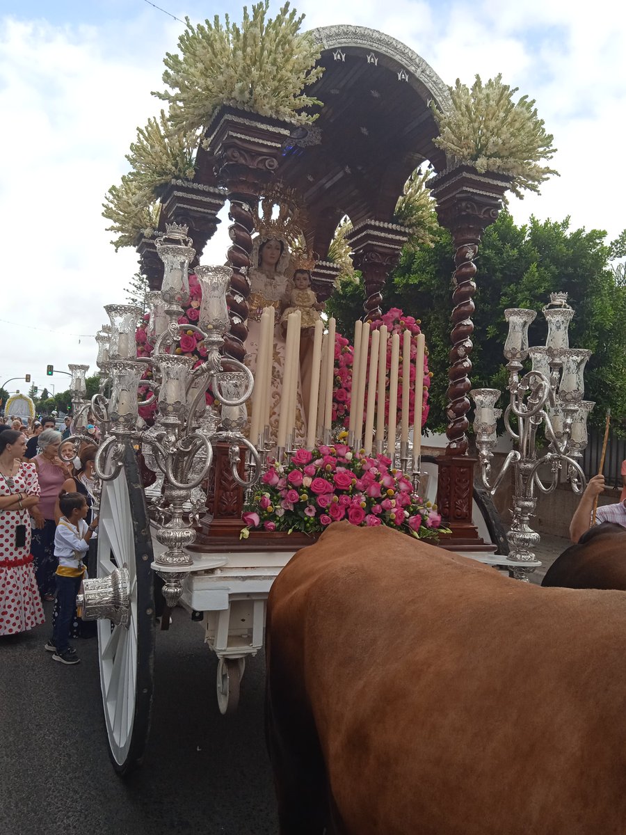 VaralCofrade's tweet photo. La Virgen de la Alegría realiza su romería, una tradición que lleva 36 años celebrandose en nuestra ciudad.
#cofradiasMLG/@hdad_alegria /@elbuenpastormlg /@divinapastora https://t.co/1MWwPGLq8A