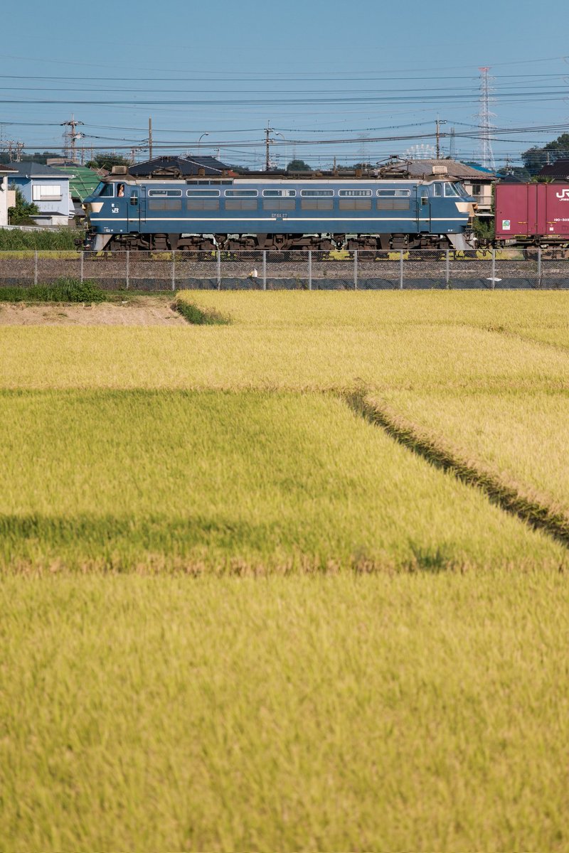 P33854243's tweet photo. 2021/09/10 4093列車
東北本線に訪れた27号機 https://t.co/opONhWgI9k