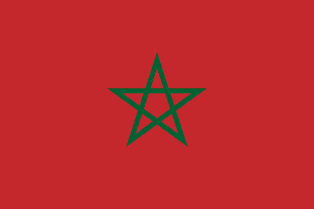 African Union ECOSOCC tweet media