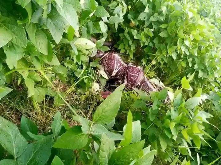 My Deen My Swag 💫 tweet media