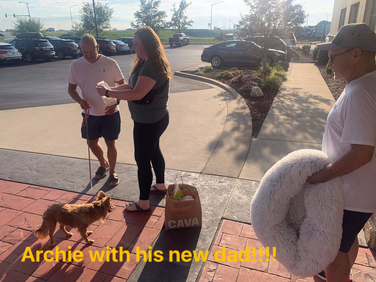 dogs_nc's tweet photo. A Hospice adoption! Archie flew to his new home! #littledog #hospice #hospicedog #fluffydog #AdoptDontShop #rescuedogs https://t.co/97RbMy73aW