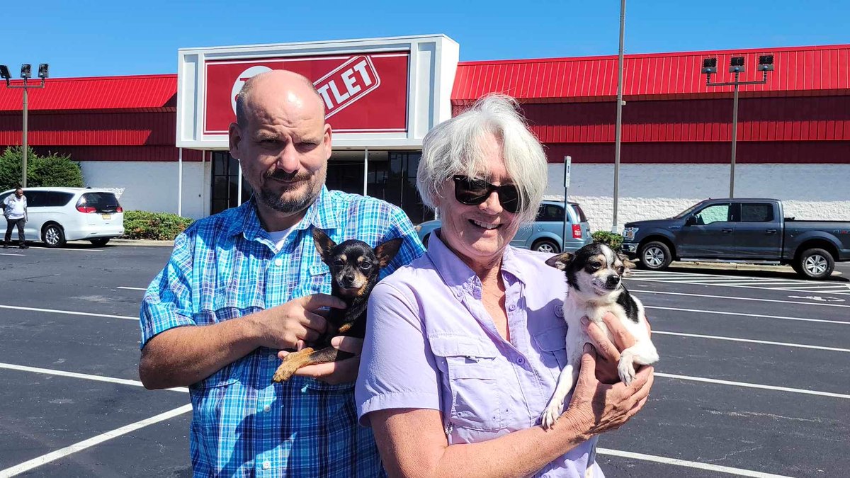 dogs_nc's tweet photo. Two chi brothers adopted together!  #littledog #littledogs #AdoptDontShop #rescuedog https://t.co/9PPf1RRIct