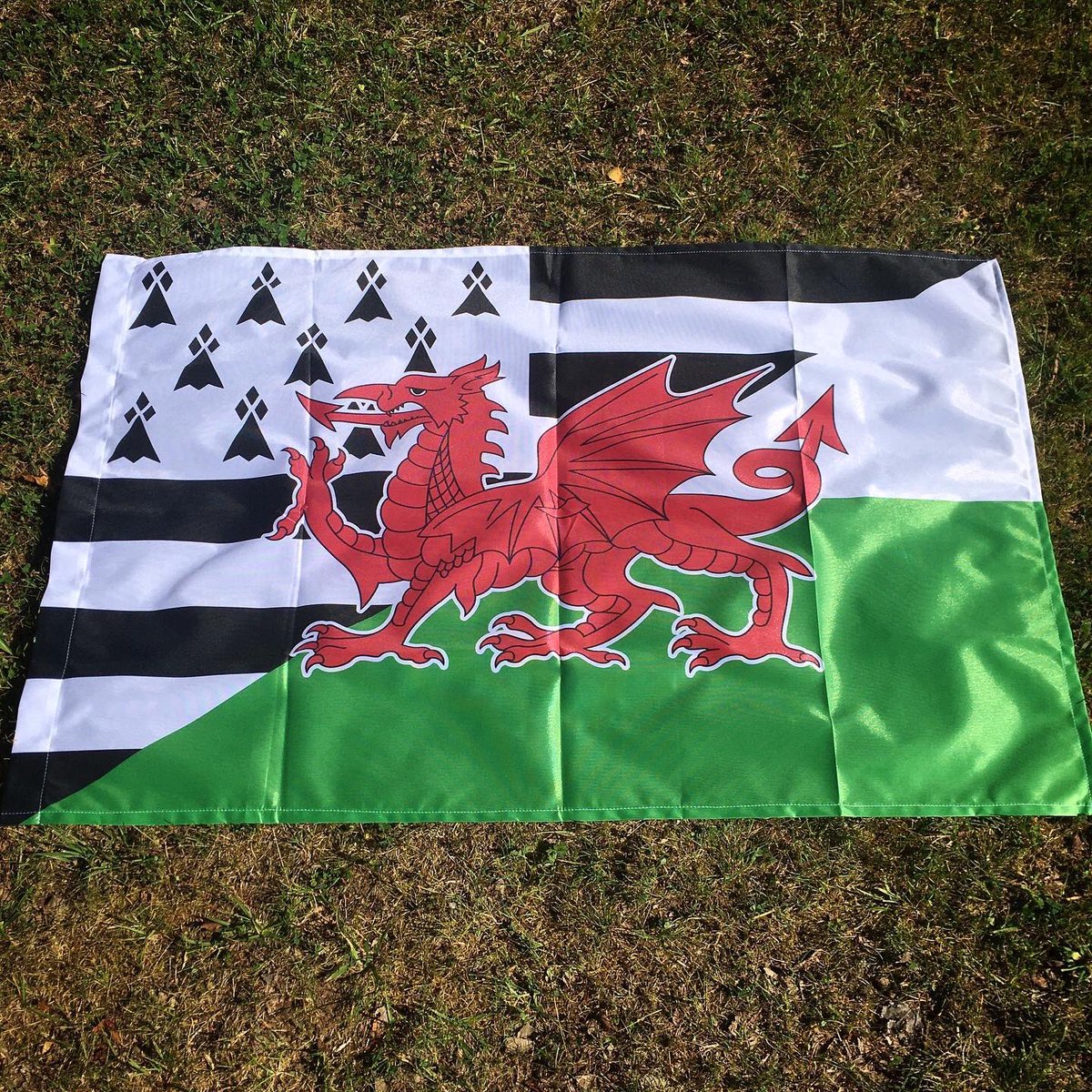 🏁🏴󠁧󠁢󠁷󠁬󠁳󠁿
Ur banniel evit diskouez al liammoù kreñv etre #Breizh ha #BroGembre. War-raok #Kembre !

 ➡️ disuj.bzh

Un #drapeau pour montrer les liens forts entre la #Bretagne et le #PaysDeGalles ! 

#RWC2023 #Cymru #Flag #Baner #Wales #Brittany #GwennHaDu #WelshRugby