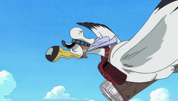 ‘ coo coo เจอ เจอ coo coo กรู้ .ᐟ’