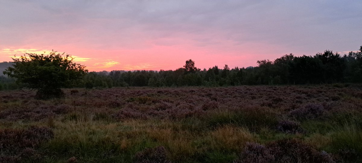 Good to watch a sunrise this morning - beautiful!  Lots of mist hanging in the air, making it quite atmospheric.