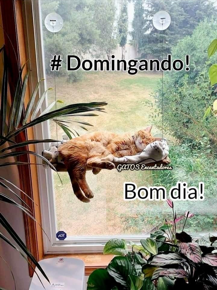 KrailingIsabel's tweet image. 