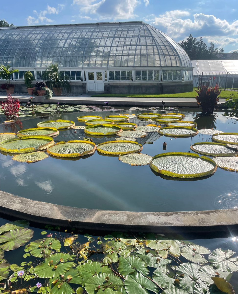 9dccxyz's tweet photo. #ConnectionSaturday if you're in NYC do yourself a favor and spend a day wandering around the New York Botanical Gardens, located in the Bronx. Connection with Mother Nature is the ultimate reboot
#9dccc https://t.co/1BJhzUNn4C