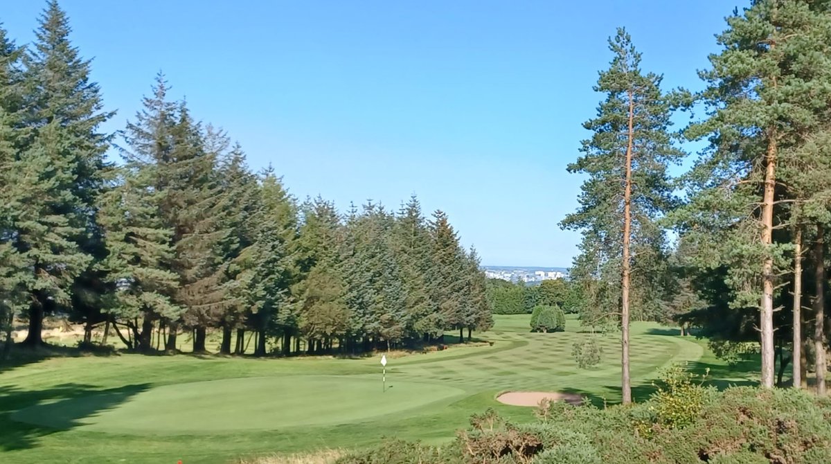 Jonny Caldwell tweet media