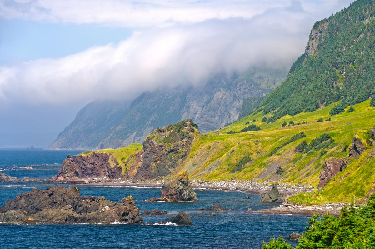 On the western coast of #Newfoundland, the #GreenGardens Trail has meadows, forests, volcanic rock formations, and a beautiful coastline. Once used by residents for their livestock, you can still find sheep there today! Have you visited this spot?🥾🐑