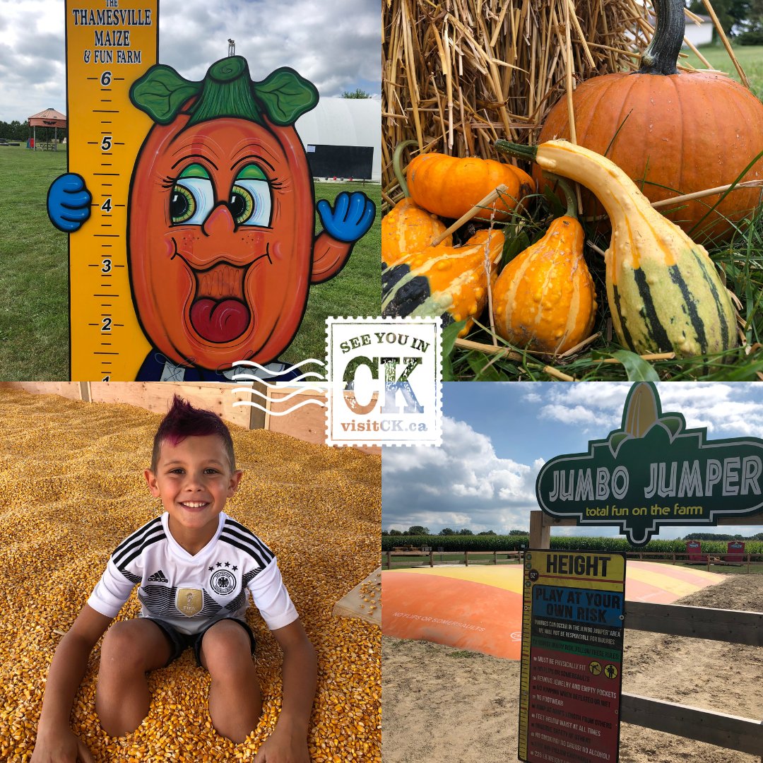 iMaze is now open for the fall season! Come out between 10am - 8pm and enjoy the fun! 🎃

#VisitCK #SeeYouInCK #Fall2023 #DiscoverON