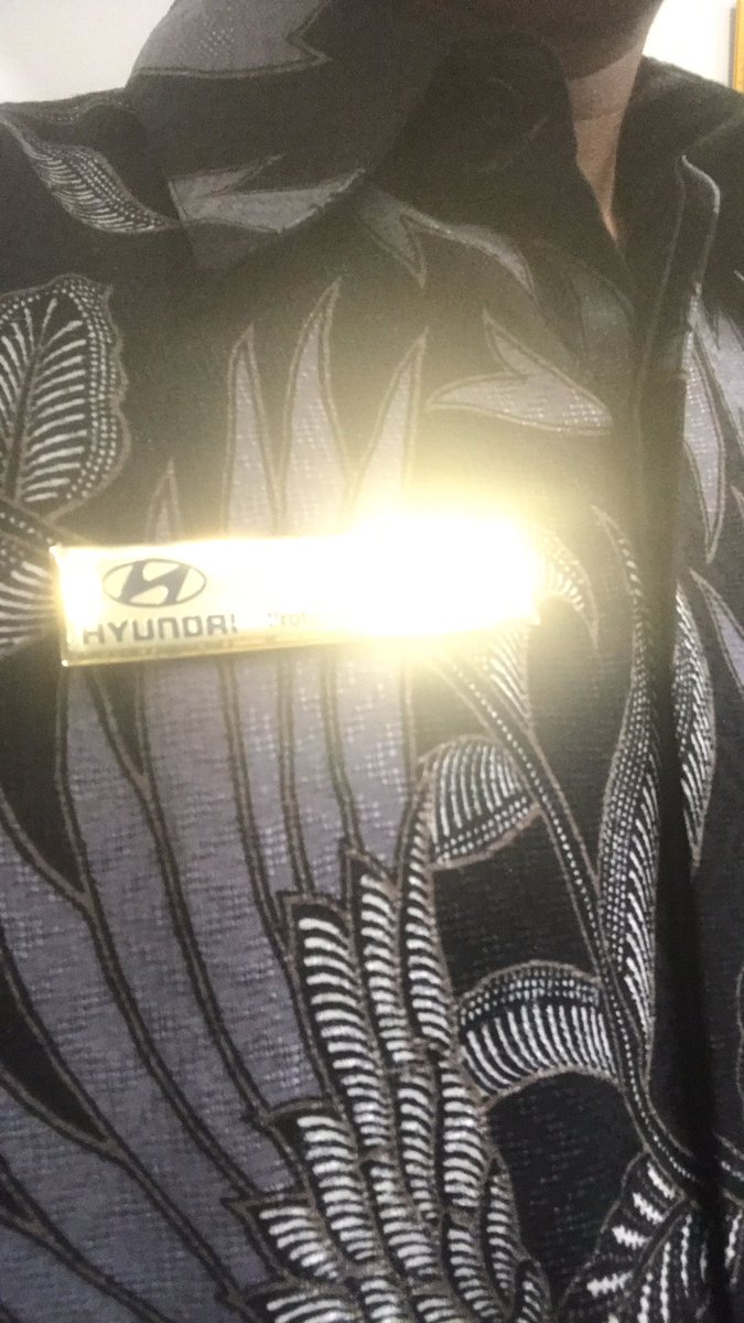 Shining shimmering splendidd duarr