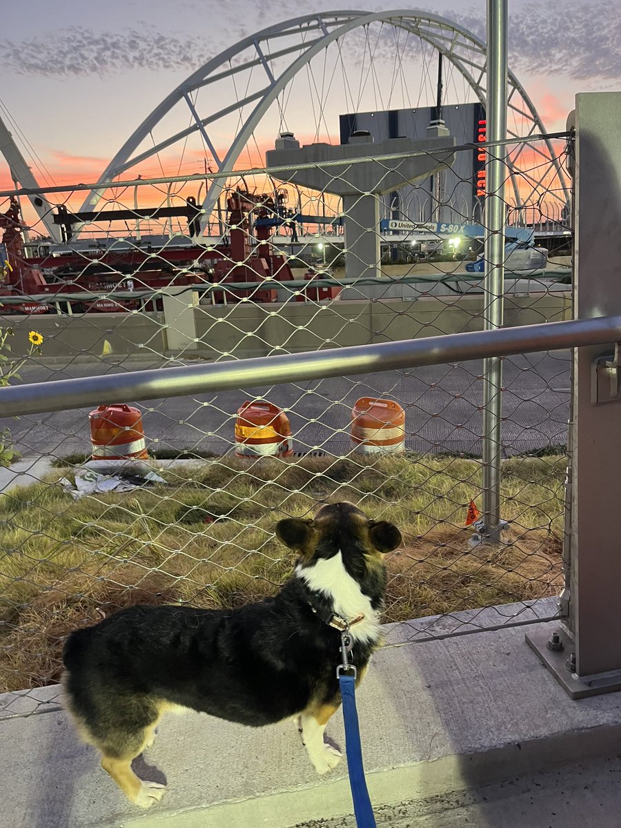 Jeff Kitner tweet media