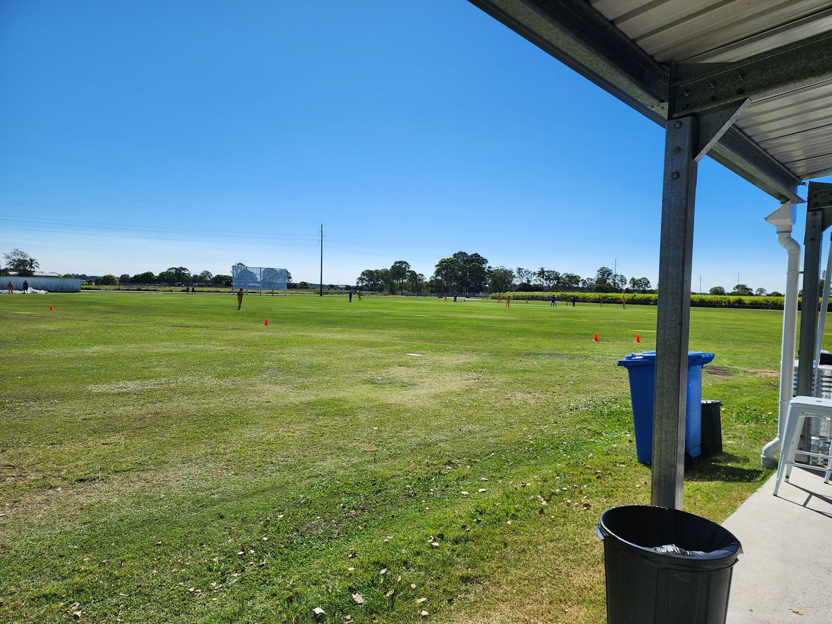 Matt (insano) tweet media