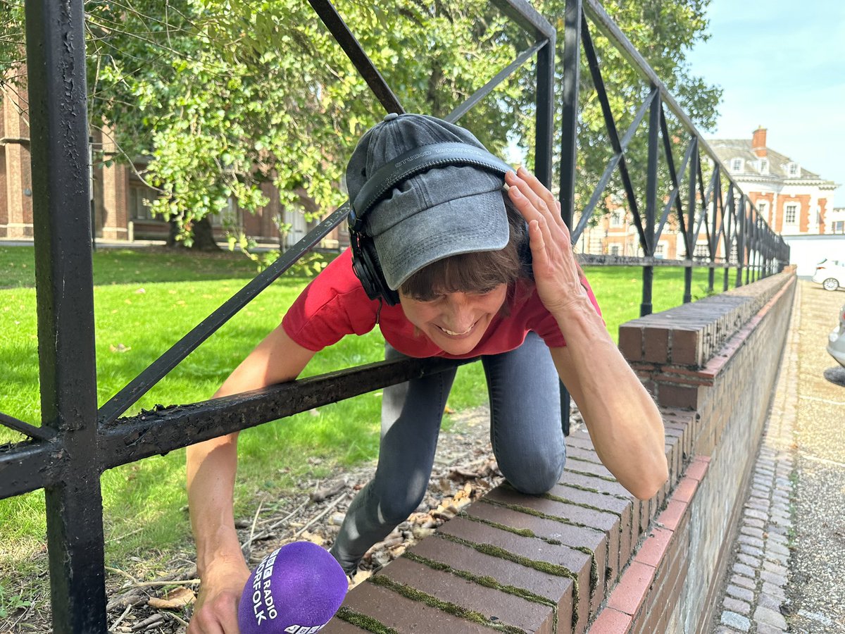 David Whiteley tweet media