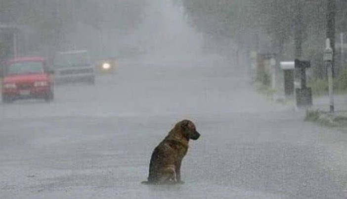 Arslan_Haider0's tweet photo. Jay shah enjoying Pak vs IND rain...
۔
۔
 #INDvsPAK #PAKvIND #INDvPAK #Colombo #rain #AsiaCup https://t.co/JiFXkrLuf6