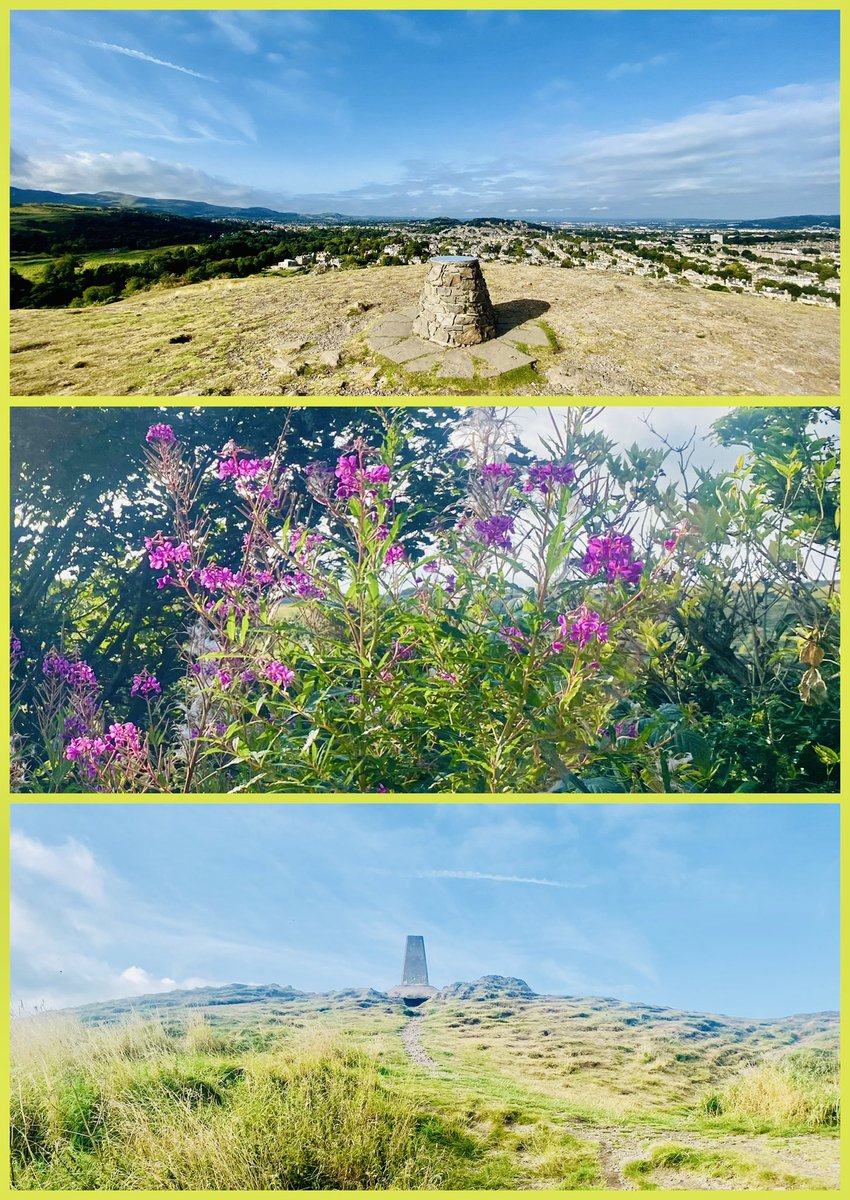 JudeMckerrecher's tweet image. So much amazing light this weekend &amp;amp; lovely to get out &amp;amp; walk close to nature in woods, over hills, in park &amp;amp; near water. Loved the freshness &amp;amp; saw a  butterfly close up - it had a beautiful little face! Colours of September bathed in sunshine ☀️(for now!)#Tinymomentsofjoy☯️🫶🦋