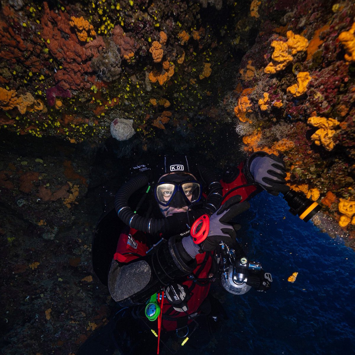 Let's get out of the cave

#cave #cavedivingphotography #cavediving #marinebio #ccrcavediving #ccrdiving #rebreatherdiving #rebreathers #corals