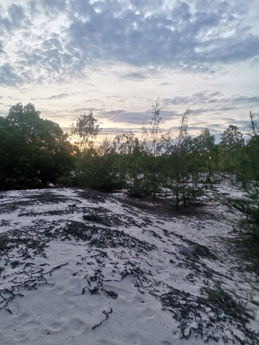 Tinh yeu nhu anh nang mua ha,