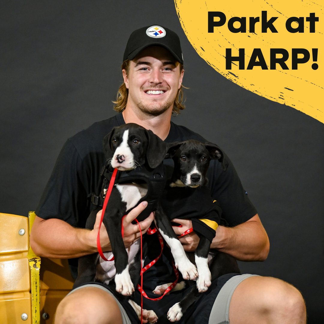 HARPSavesLives's tweet photo. 🖤 💛 HERE WE GO STEELERS 💛 🖤 

Heading to the game this Steeler Sunday? Park at our North Side Shelter! 
🌟 Parking lot opens at 9 am
🌟 The price to park will be displayed at the front of the lot

#steelersnation https://t.co/1Cz9EJru5L
