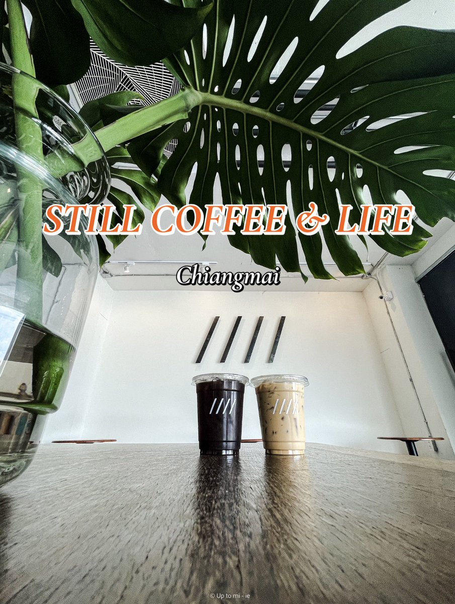 mnp1295's tweet photo. 🏙️ #StillCoffeeAndLife คาเฟ่ลับวิวของถนนวิชยานนท์ที่จะเห็นเป็นตึกรามบ้านช่องและการสัญจรไปมาของทั้งคนและรถ 

💰 เริ่มต้น 80฿

⏰ เปิด 9.00 น. - 17.00 น.

📌 ชั้น 4 ตึกวรวัฒน์ (กาดหลวง จ.เชียงใหม่) : https://t.co/bX2nqJAswo

🚗 ไม่มีที่จอดรถยนต์ รถมอเตอร์ไซค์จอดหน้าตึกวรวัฒน์ได้เลย https://t.co/IeCoNNA69l